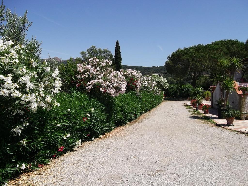 Apartment La Casina A Schiopparello - Goelba